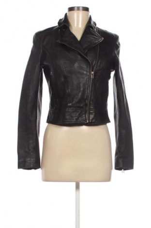 Damen Lederjacke Mango, Größe S, Farbe Schwarz, Preis € 65,37