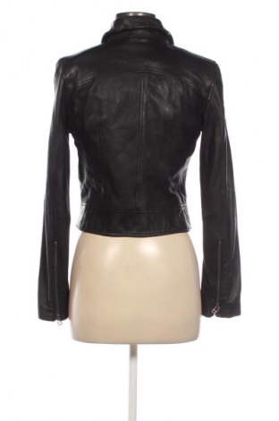 Damen Lederjacke Mango, Größe S, Farbe Schwarz, Preis € 65,37