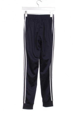 Damen Sporthose Adidas, Größe XS, Farbe Mehrfarbig, Preis € 28,99