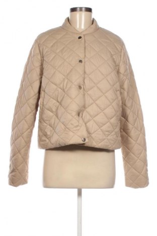 Damenjacke Sinsay, Größe XL, Farbe Beige, Preis 16,99 €