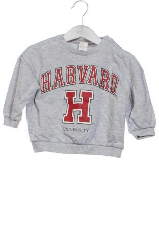 Детска блуза H&M, Размер 9-12m/ 74-80 см, Цвят Сив, Цена 7,99 лв.