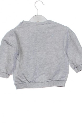 Детска блуза H&M, Размер 9-12m/ 74-80 см, Цвят Сив, Цена 7,99 лв.