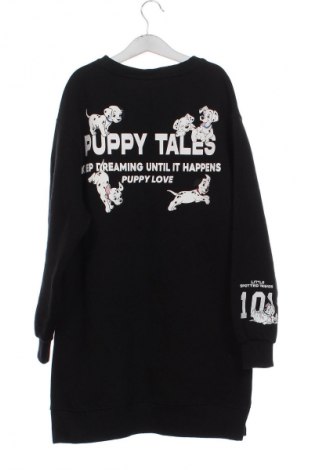 Kinder Shirt Zara, Größe 10-11y/ 146-152 cm, Farbe Schwarz, Preis € 7,19