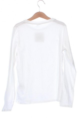 Dětská halenka  Zara, Velikost 8-9y/ 134-140 cm, Barva Bílá, Cena  178,00 Kč