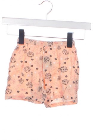 Dětské krátké kalhoty  Lupilu, Velikost 3-6m/ 62-68 cm, Barva Vícebarevné, Cena  173,00 Kč