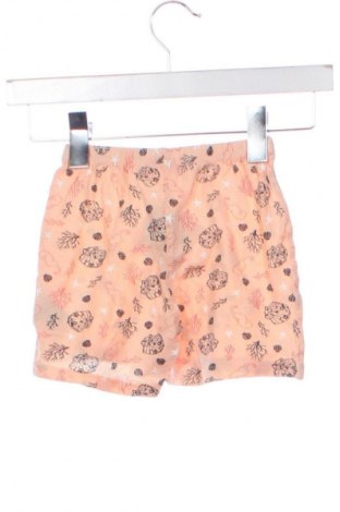 Dětské krátké kalhoty  Lupilu, Velikost 3-6m/ 62-68 cm, Barva Vícebarevné, Cena  173,00 Kč
