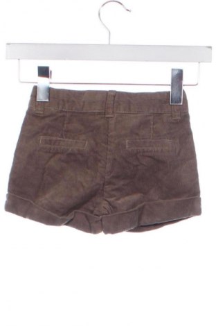 Pantaloni scurți pentru copii Palomino, Mărime 18-24m/ 86-98 cm, Culoare Bej, Preț 30,99 Lei