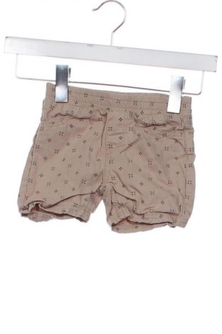 Kinder Shorts Topomini, Größe 12-18m/ 80-86 cm, Farbe Mehrfarbig, Preis € 7,16