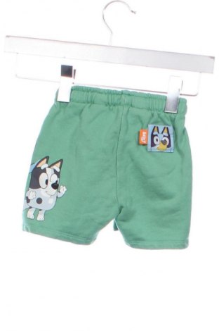 Kinder Shorts Zara, Größe 2-3y/ 98-104 cm, Farbe Mehrfarbig, Preis € 6,14