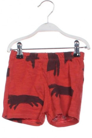 Gyerek rövidnadrág Zara, Méret 9-12m / 74-80 cm, Szín Sokszínű, Ár 2 049 Ft