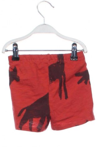 Gyerek rövidnadrág Zara, Méret 9-12m / 74-80 cm, Szín Sokszínű, Ár 2 049 Ft