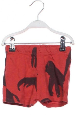 Gyerek rövidnadrág Zara, Méret 6-9m / 68-74 cm, Szín Sokszínű, Ár 2 049 Ft