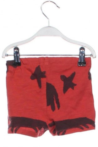 Gyerek rövidnadrág Zara, Méret 6-9m / 68-74 cm, Szín Sokszínű, Ár 2 049 Ft
