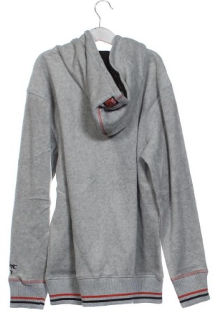 Kinder Sweatshirts Here+There, Größe 6-9m/ 68-74 cm, Farbe Grau, Preis € 11,35
