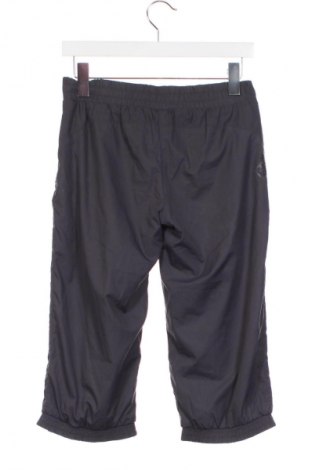 Gyerek sport nadrág Esprit, Méret 15-18y / 170-176 cm, Szín Szürke, Ár 3 207 Ft