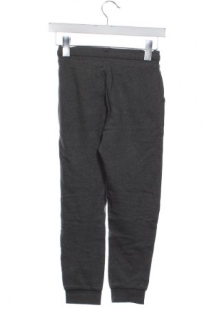 Dětské tepláky Pepperts!, Velikost 8-9y/ 134-140 cm, Barva Šedá, Cena  247,00 Kč