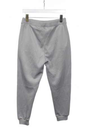 Pantaloni de trening, pentru copii The North Face, Mărime 13-14y/ 164-168 cm, Culoare Gri, Preț 141,99 Lei