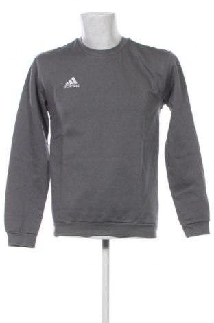 Ανδρική μπλούζα Adidas, Μέγεθος S, Χρώμα Γκρί, Τιμή 79,99 €
