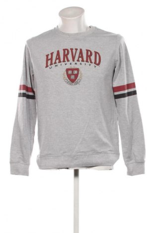 Ανδρική μπλούζα Harvard, Μέγεθος M, Χρώμα Πολύχρωμο, Τιμή 7,99 €
