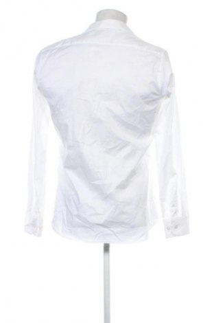 Pánska košeľa  Oliver, Veľkosť M, Farba Biela, Cena  14,91 €