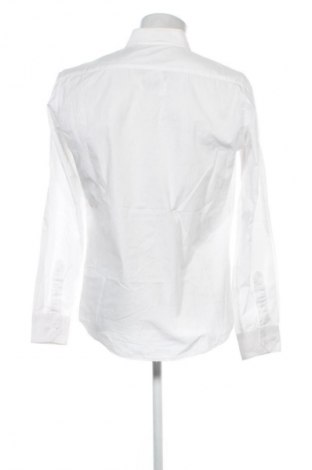 Męska koszula Piazza Italia, Rozmiar L, Kolor Biały, Cena 58,43 zł