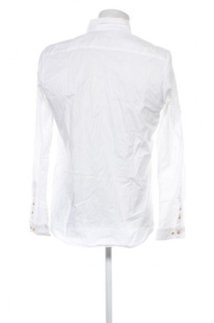 Herrenhemd Tom Tailor, Größe L, Farbe Weiß, Preis € 17,36