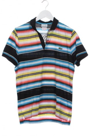 Herren T-Shirt Lacoste, Größe XS, Farbe Mehrfarbig, Preis € 49,99