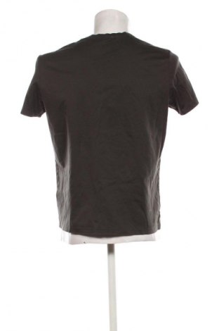 Herren T-Shirt Massimo Dutti, Größe L, Farbe Grün, Preis € 13,81