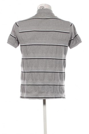 Tricou de bărbați Polo, Mărime L, Culoare Multicolor, Preț 144,74 Lei