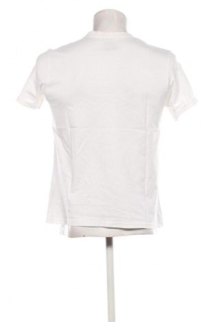 Herren T-Shirt Terranova, Größe L, Farbe Mehrfarbig, Preis € 10,00