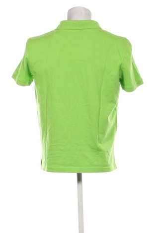 Herren T-Shirt Tom Tailor, Größe M, Farbe Grün, Preis 7,99 €