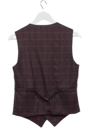 Pánska vesta  Unbranded, Veľkosť S, Farba Viacfarebná, Cena  9,95 €