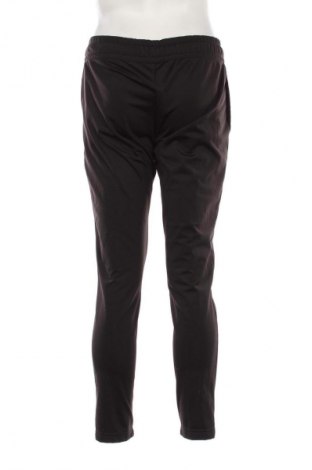Herren Sporthose PUMA, Größe M, Farbe Schwarz, Preis € 33,99