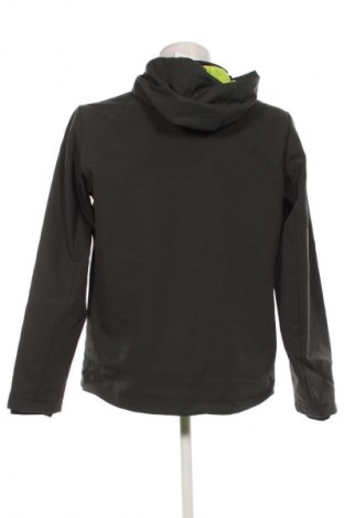 Herrenjacke CMP, Größe L, Farbe Grün, Preis 119,99 €