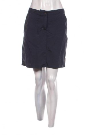 Hosenrock Unbranded, Größe L, Farbe Blau, Preis € 9,72