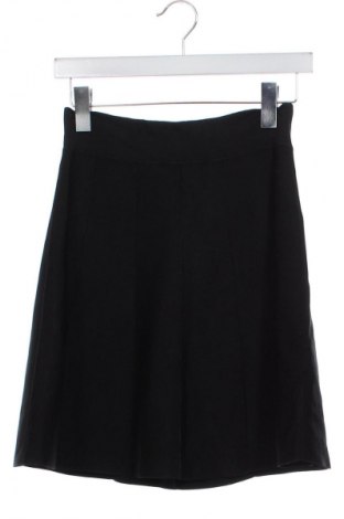 Rock BCBG Max Azria, Größe XS, Farbe Schwarz, Preis 41,98 €