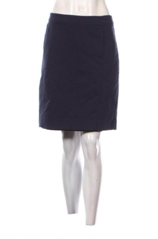 Sukňa H&M, Veľkosť L, Farba Modrá, Cena  9,72 €