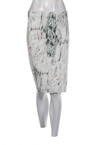Φούστα Zara, Μέγεθος L, Χρώμα Πολύχρωμο, Τιμή 9,99 €