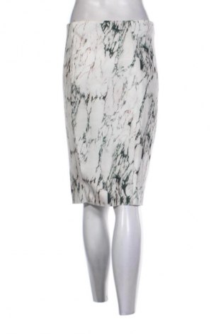 Φούστα Zara, Μέγεθος L, Χρώμα Πολύχρωμο, Τιμή 9,99 €