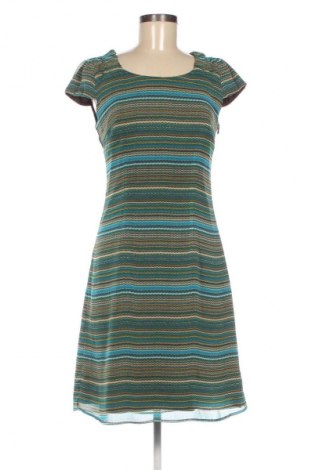 Kleid Betty Barclay, Größe S, Farbe Mehrfarbig, Preis 34,99 €
