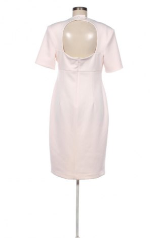 Φόρεμα Calvin Klein, Μέγεθος XL, Χρώμα Ρόζ , Τιμή 164,99 €