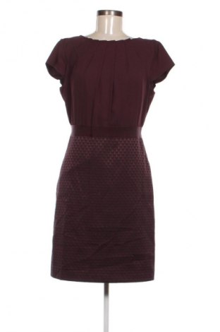 Kleid Comma,, Größe M, Farbe Lila, Preis € 41,98