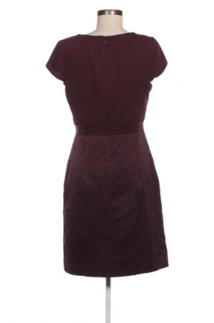 Kleid Comma,, Größe M, Farbe Lila, Preis € 41,98