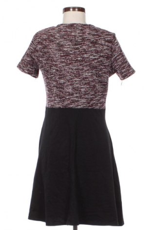 Kleid Dorothy Perkins, Größe M, Farbe Mehrfarbig, Preis 13,80 €