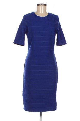 Φόρεμα Dorothy Perkins, Μέγεθος M, Χρώμα Μπλέ, Τιμή 13,80 €