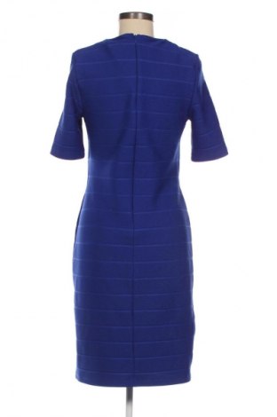 Φόρεμα Dorothy Perkins, Μέγεθος M, Χρώμα Μπλέ, Τιμή 13,80 €