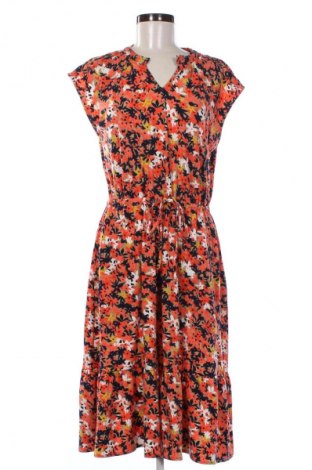 Kleid Jane Lamerton, Größe M, Farbe Mehrfarbig, Preis € 24,49