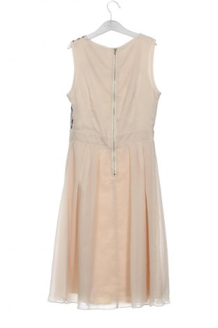 Kleid Little Mistress, Größe XS, Farbe Mehrfarbig, Preis 22,99 €