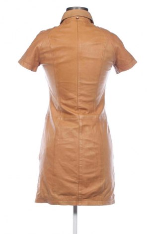 Sukienka Massimo Dutti, Rozmiar S, Kolor Brązowy, Cena 776,75 zł