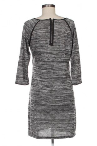 Kleid Paprika, Größe L, Farbe Mehrfarbig, Preis 33,99 €